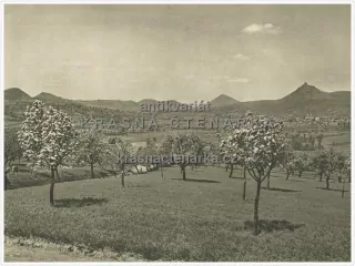 OVOCNÁŘSTVÍ V ČESKÉM STŘEDOHOŘÍ