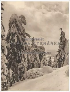 V LUŽICKÝCH HORÁCH