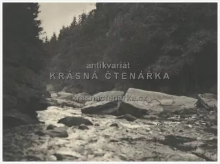 ÚDOLÍ DIVOKÉ ORLICE