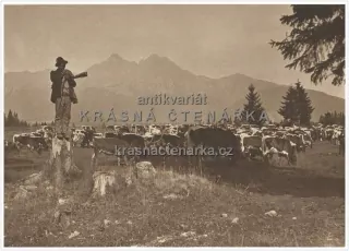PASTEVNICTVÍ A SALAŠNICTVÍ V NAŠICH HORÁCH ... Tatry