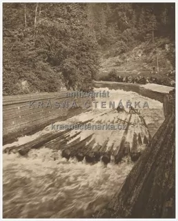 PLAVBA DŘÍVÍ V PODKARPATSKÉ RUSI