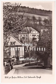 LÁZNĚ LIBVERDA, Villa Wildner či Na Výsluní