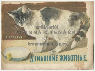ДОМАШНИЕ ЖИВОТНЫЕ