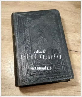 DIE BIBEL OBER DIE GANZE HEILIGE SCHRIFT DES ALTEN UN NEUEN TESTAMENTS  (překlad Luther Martin, 1893)