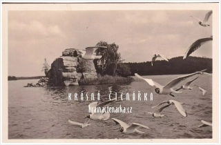 MÁCHOVO JEZERO, Zřícenina tvrze Myšlín