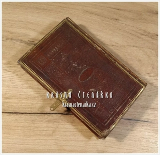 GEBETH UND ERBAUUNGSBUCH für katholische Christen (Schneider Johann Aloysius)