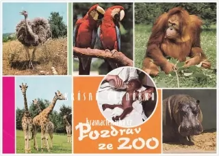 DVŮR KRÁLOVÉ NAD LABEM (Zoologická zahrada)