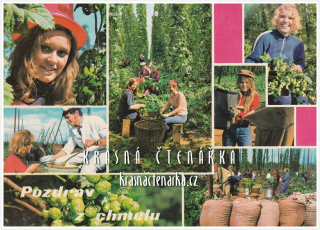 POZDRAV Z ČESÁNÍ CHMELE a Z CHMELOVÉ BRIGÁDY
