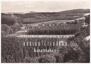 POZDRAV Z ČESÁNÍ CHMELE a Z CHMELOVÉ BRIGÁDY
