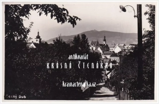 ČESKÝ DUB