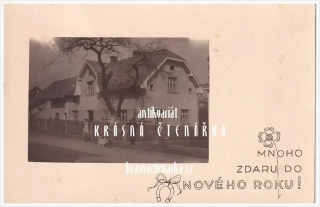 ČESKÝ DUB (?)