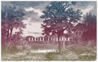 KRAJINA se stromy