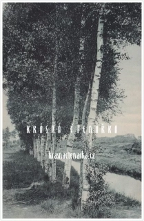 KRAJINA s březovou alejí