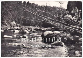 Přírodní rezervace STVOŘIDLA