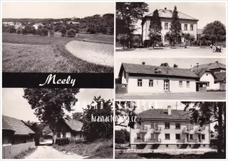 MCELY