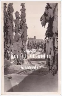 BENECKO, Pohled na Žalý