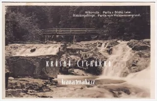 KRKONOŠE, Bílé Labe