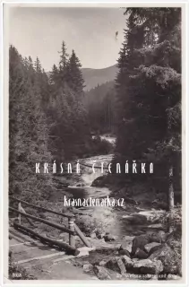 KRKONOŠE, Bílé Labe