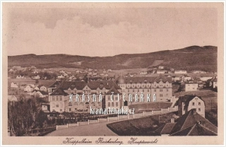 LIBEREC, Jedličkův ústav 