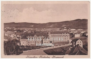LIBEREC, Jedličkův ústav 