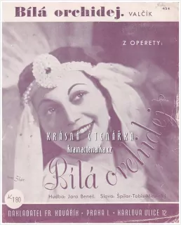 Píseň BÍLÁ ORCHIDEJ