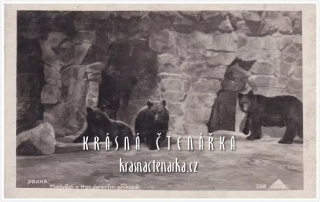 PRAHA, Medvědi v Horním Jelením příkopě