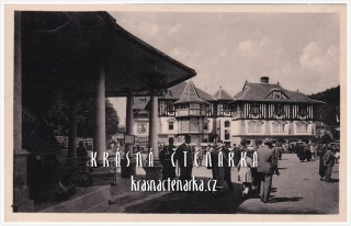 LUHAČOVICE, Jurkovičův dům