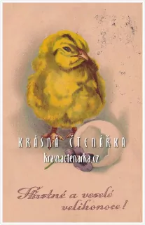 Přání VELIKONOČNÍ a vylíhlé kuřátko