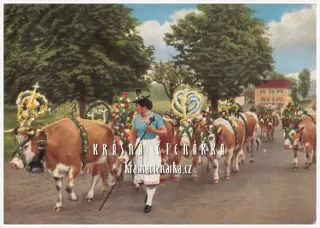 DÁMA / ŽENA v kroji na Almabtrieb