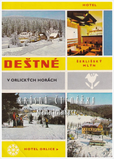 DEŠTNÉ V ORLICKÝCH HORÁCH