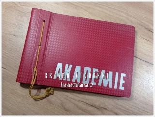 ALBUM - ŽÁKOVSKÁ AKADEMIE ZDŠ HRÁDEK NAD NISOU 1965