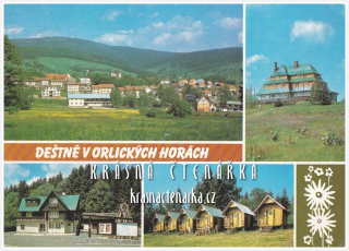 DEŠTNÉ V ORLICKÝCH HORÁCH