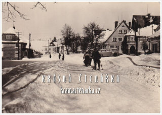 DEŠTNÉ V ORLICKÝCH HORÁCH, Hotel Národní dům i s lyžaři