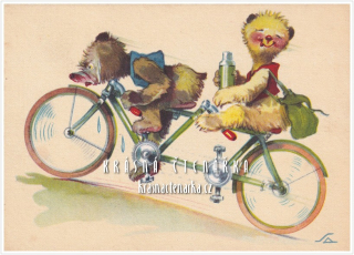 MEDVĚDI cyklisti (il. Salač Ludvík Alois)
