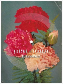 Fonokarta s karafiáty