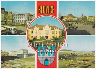 BLOVICE