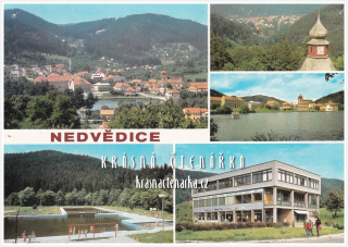 NEDVĚDICE
