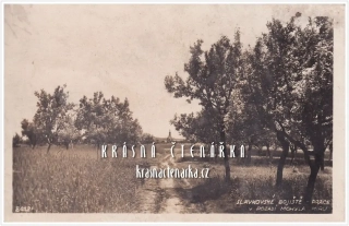 MOHYLA MÍRU na slavkovském bojišti