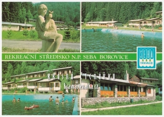 BOROVICE