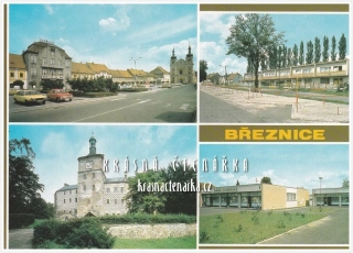 BŘEZNICE