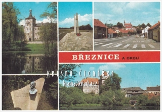 BŘEZNICE