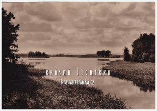 TŘEBOŇSKO, Opatovický rybník
