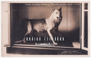 Poslední šumavský vlk, HLUBOKÁ NAD VLTAVOU, Zámek OHRADA