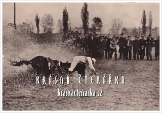 PARDUBICE, Velká pardubická