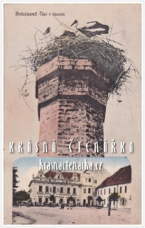 LÁZNĚ BOHDANEČ, Čápi v lázních