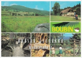 Přírodní rezervace BOUBÍNSKÝ PRALES
