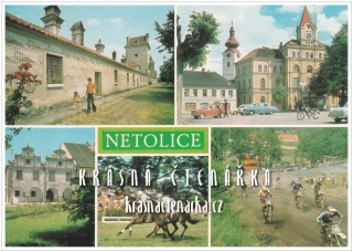 NETOLICE