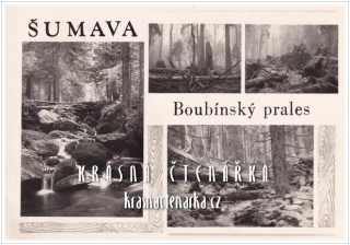 Přírodní rezervace BOUBÍNSKÝ PRALES