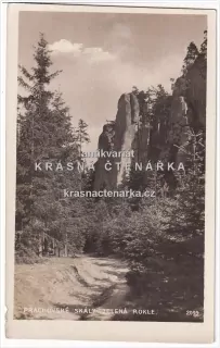 PRACHOVSKÉ SKÁLY (Zelená rokle)