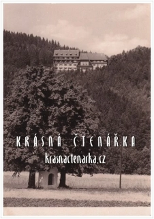FRENŠTÁT POD RADHOŠTĚM, Interhotel VLČINA
